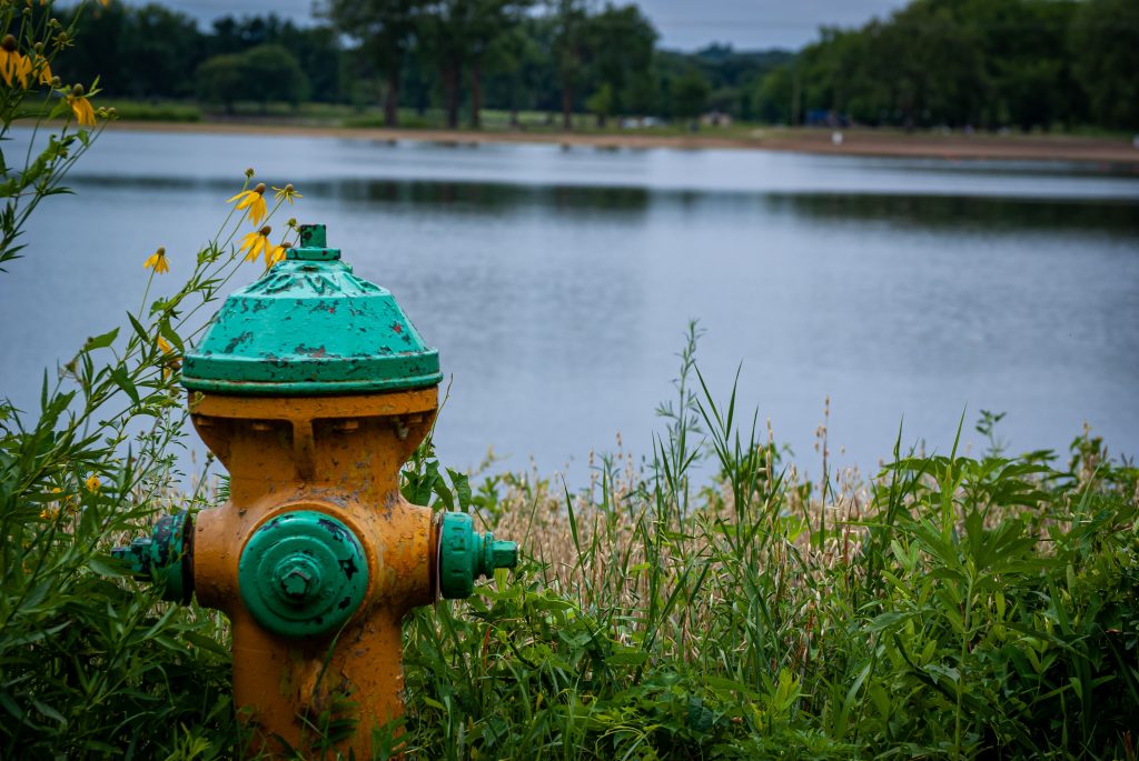 A fire hydrant and plants by a pond