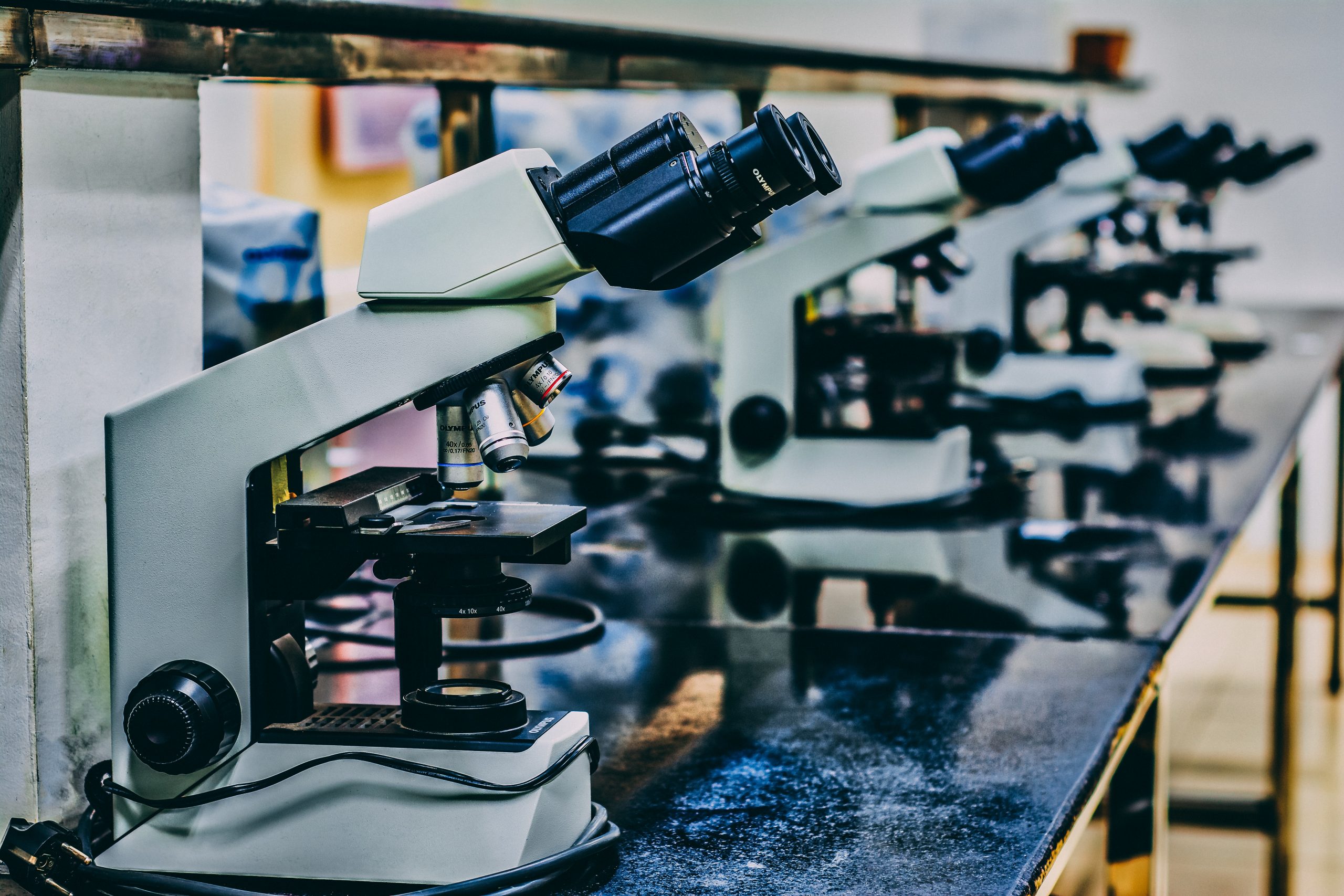 An array of microscopes on a lab bench