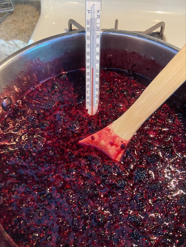 Jam cooking on the stove with a thermometer