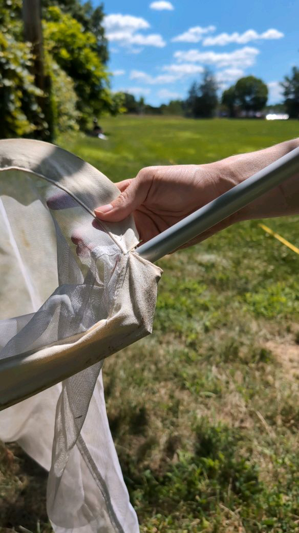 JPEG image-40C5-9DA6-5A-0