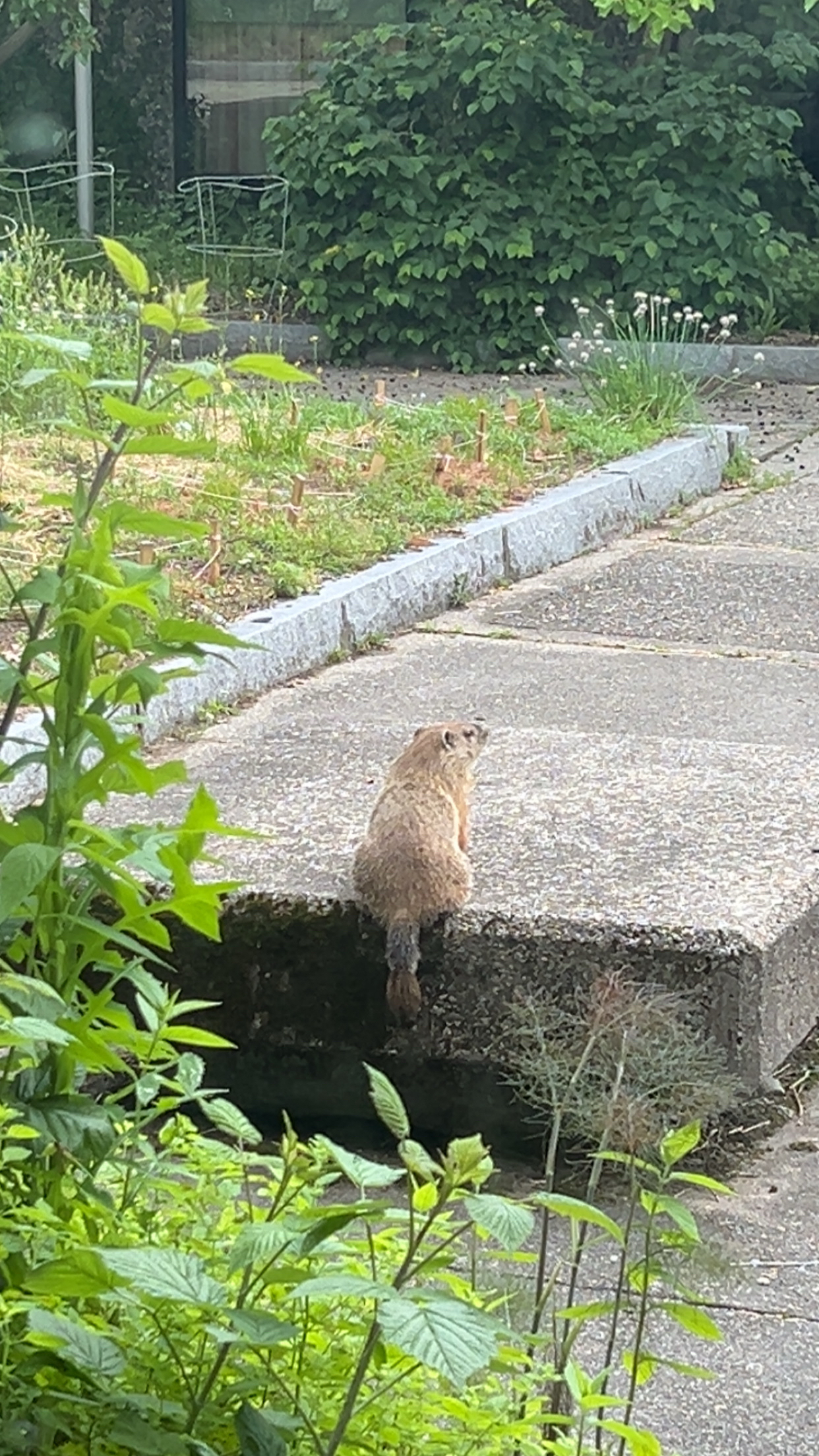 JPEG image-4E0B-8432-40-0