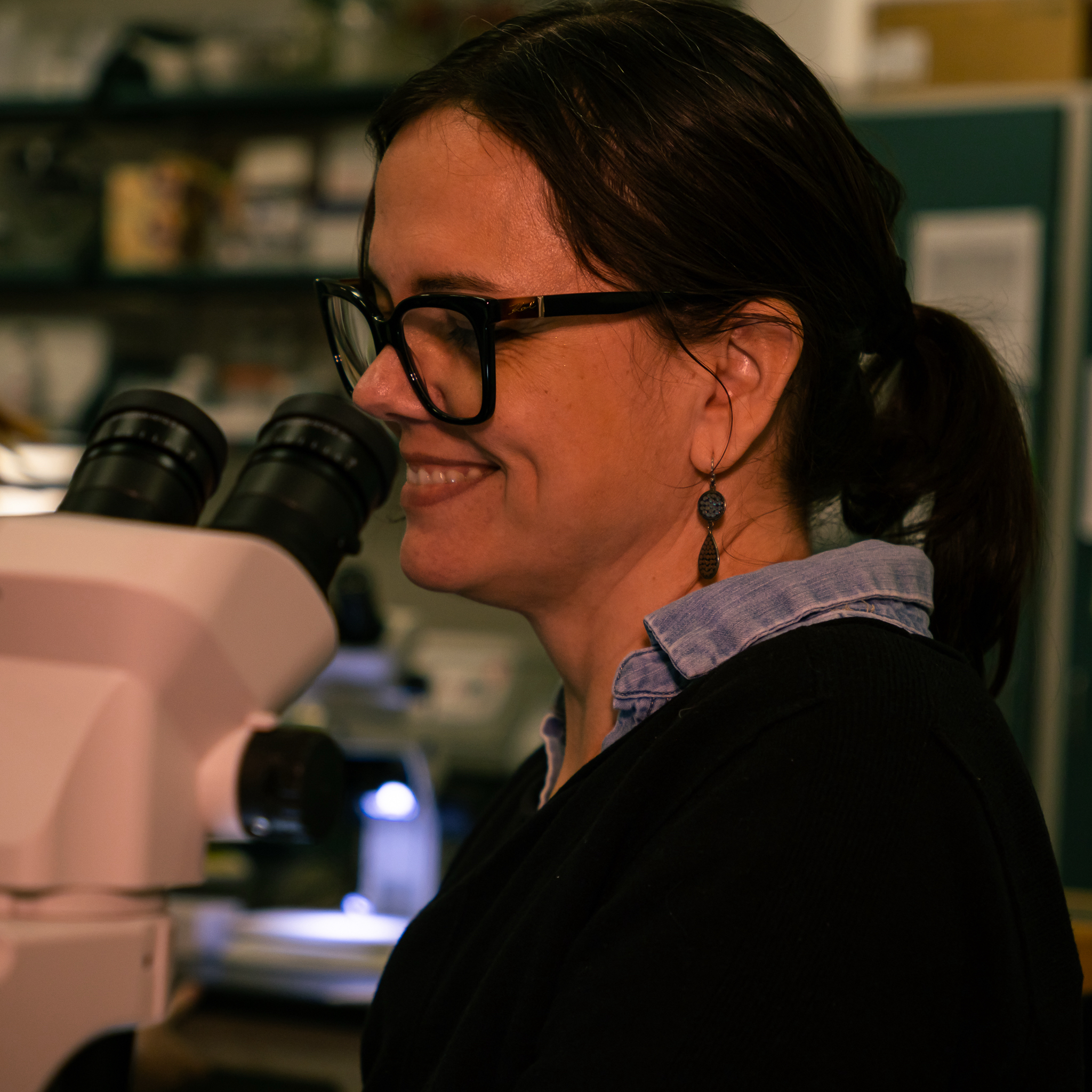 JPEG image-4EB4-913B-16-0